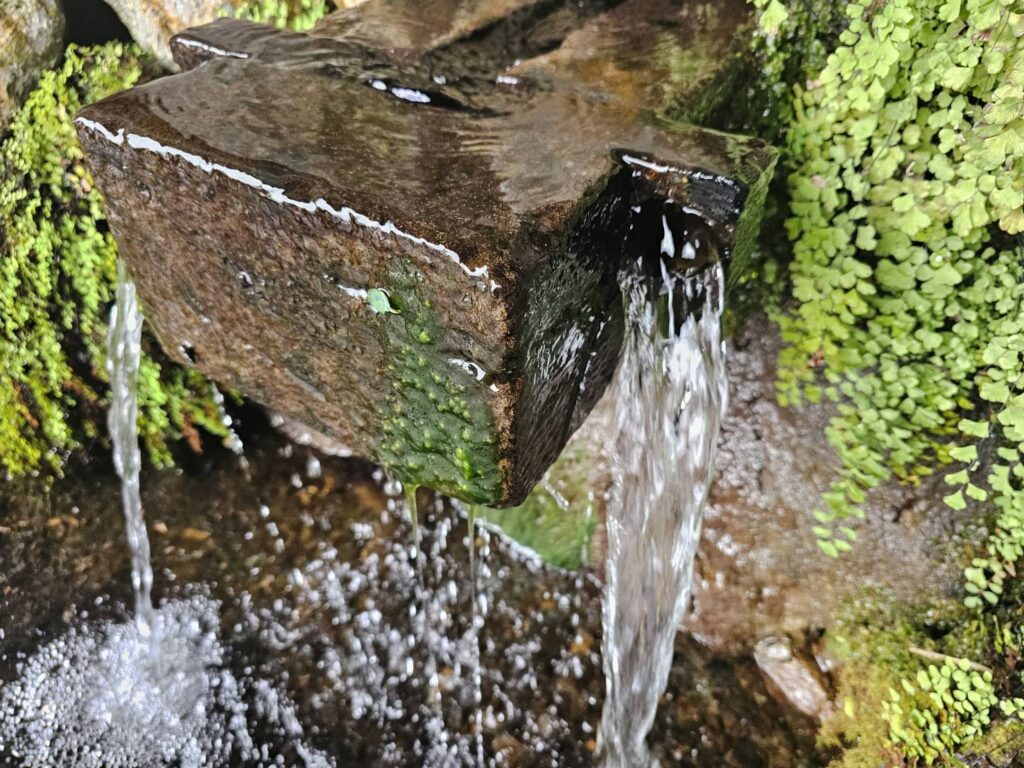 緑の苔が生えた石から湧き出る清らかな水の流れ