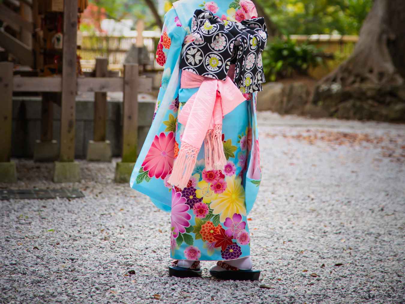 神社の境内で、美しい花柄の着物を着た女性が後ろ姿で立っている様子。