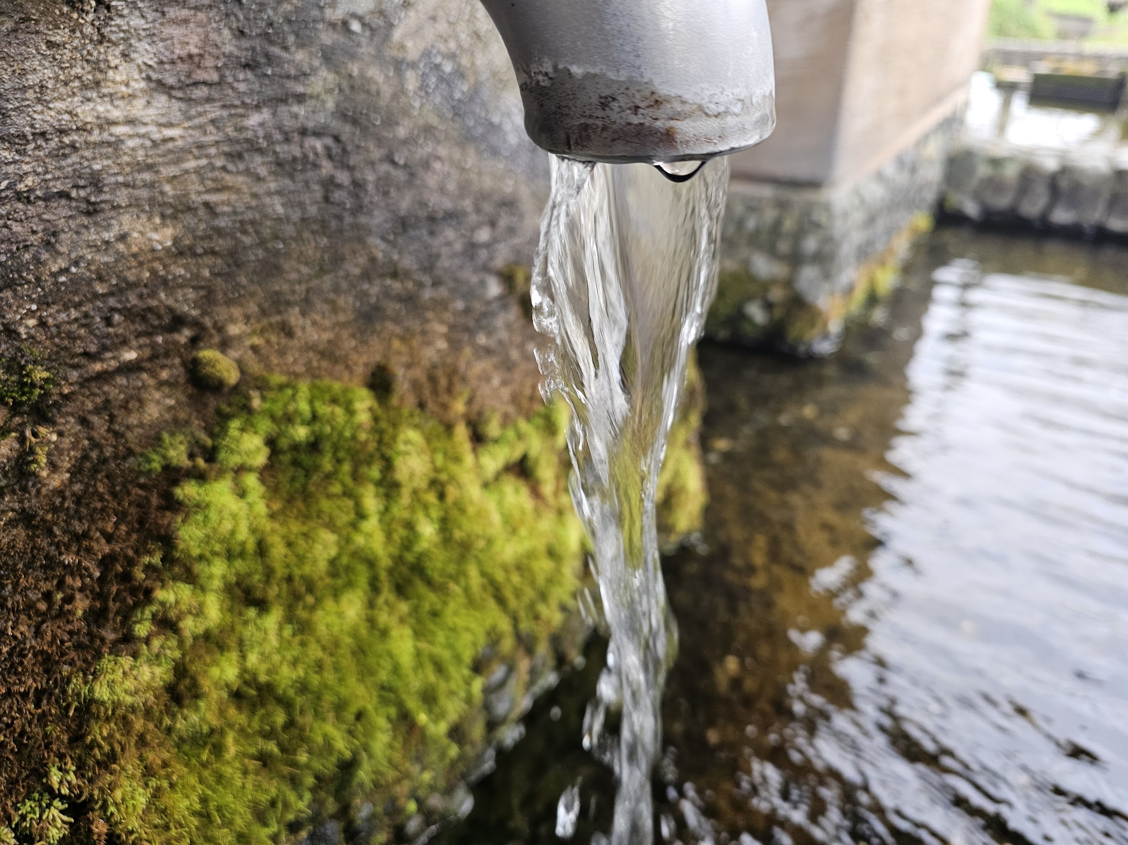 自然の中にある湧き水の吐出口から流れる清水