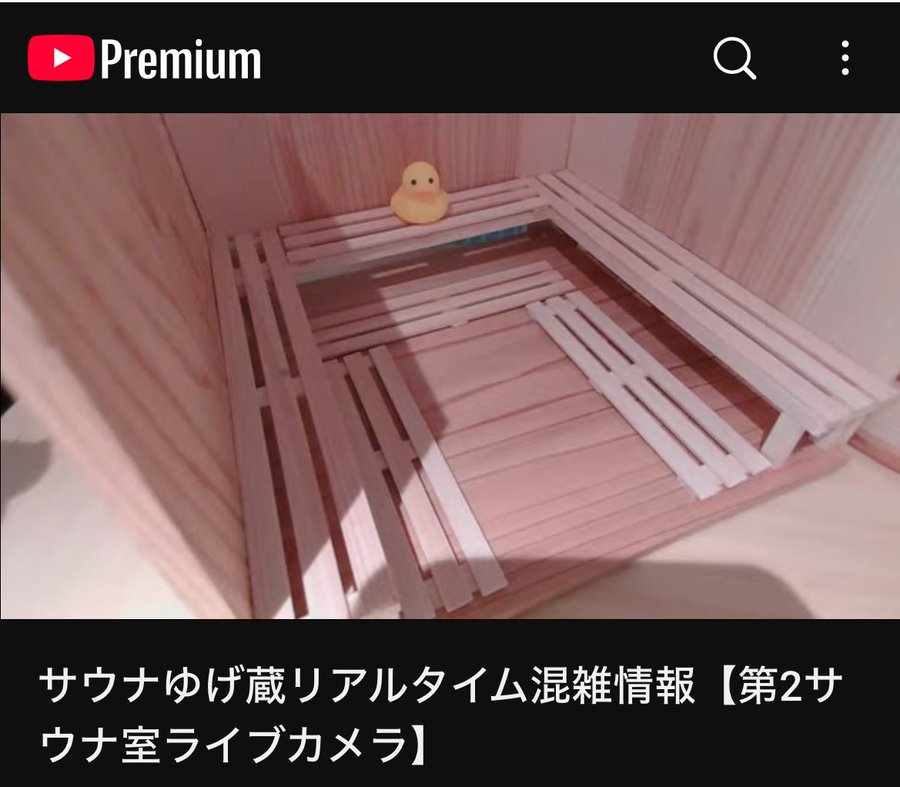 ミニチュアサウナ室にアヒルのフィギュアが置かれている様子
