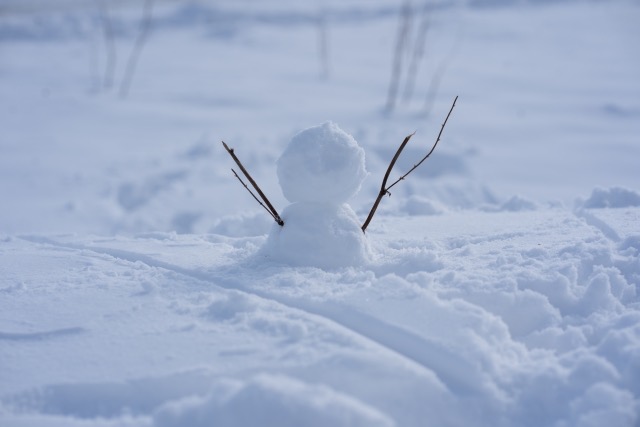 雪だるま現象