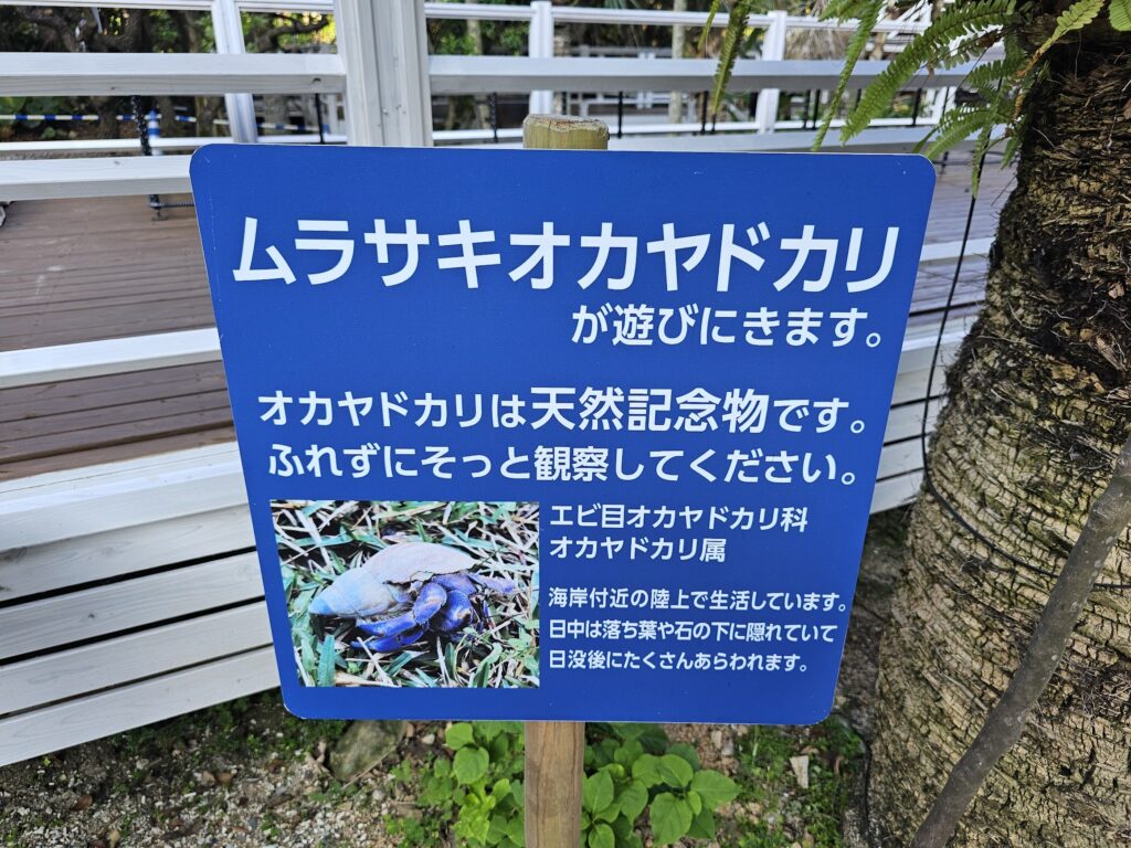 自然とどう向き合うのか