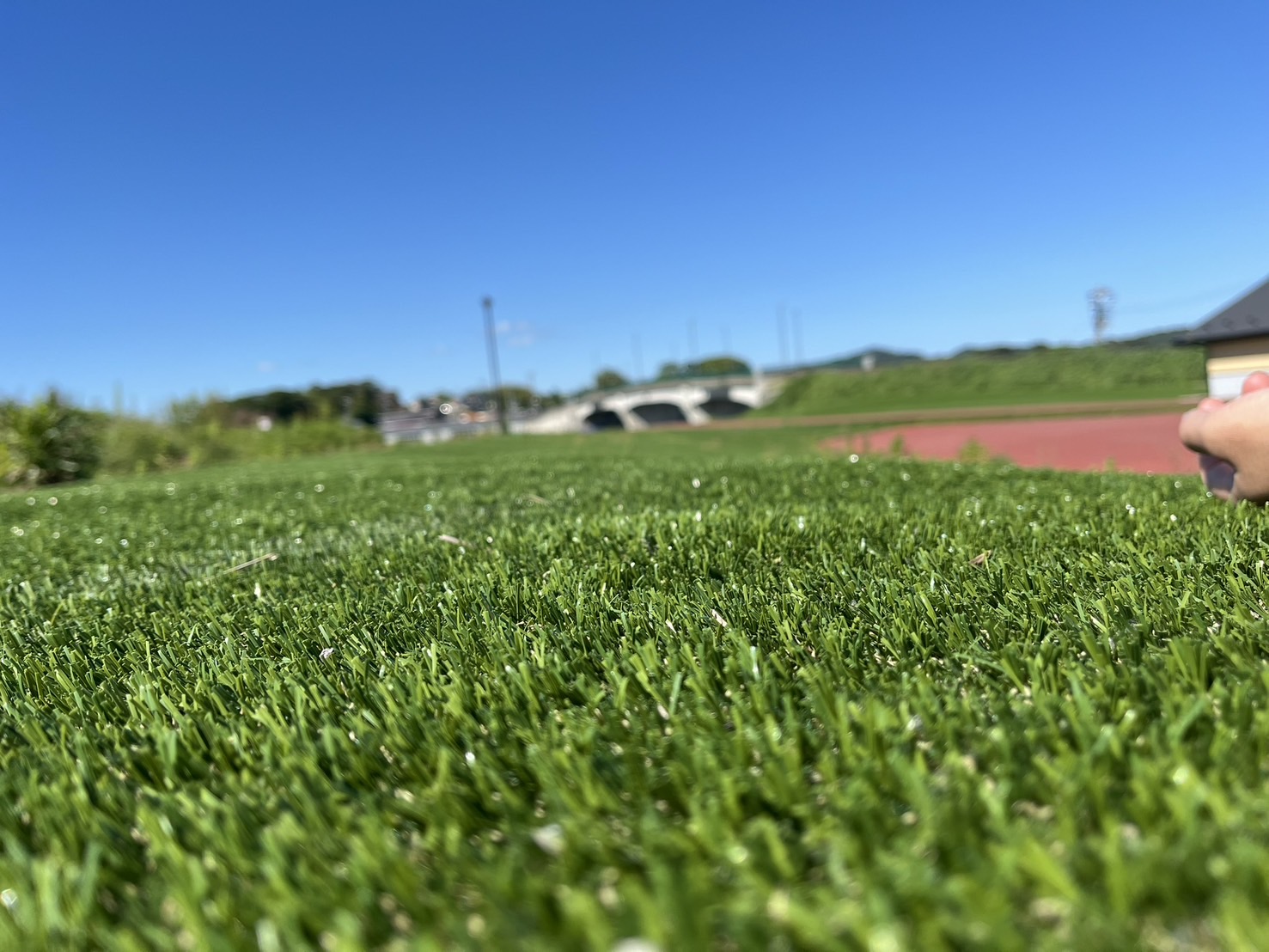 芝生の上から見上げた青空と遠景の橋が広がる風景