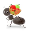 りんごの入ったカゴを背負って運ぶ働きアリのイラスト
