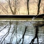 竹筒から湯が注がれる露天風呂と冬枯れの木々の景色を映す温泉水面