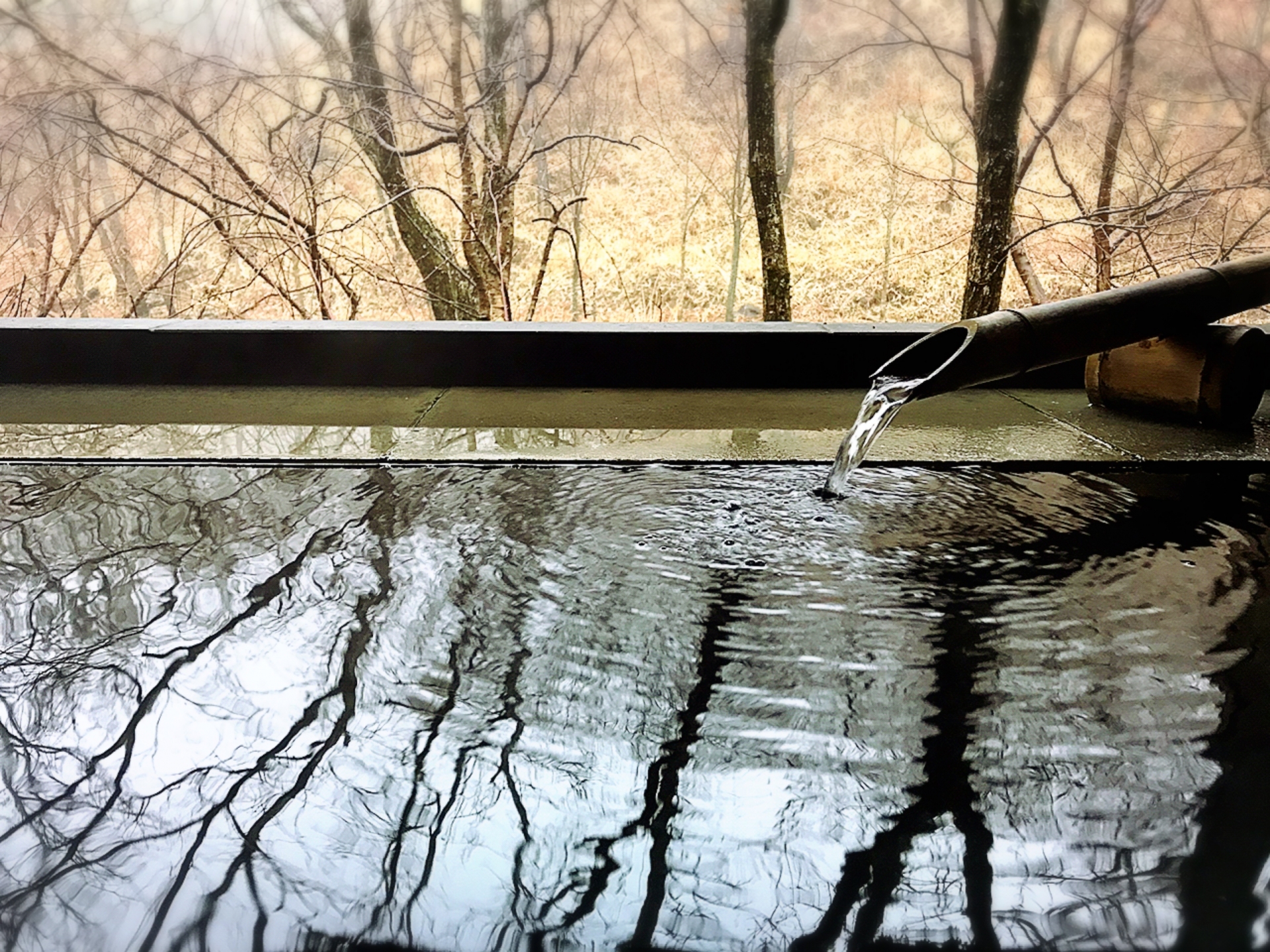 竹筒から湯が注がれる露天風呂と冬枯れの木々の景色を映す温泉水面