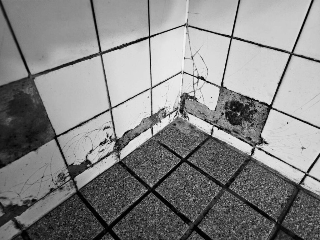 廃墟化した浴室のタイル壁と黒カビが広がる使われていない浴槽の一角