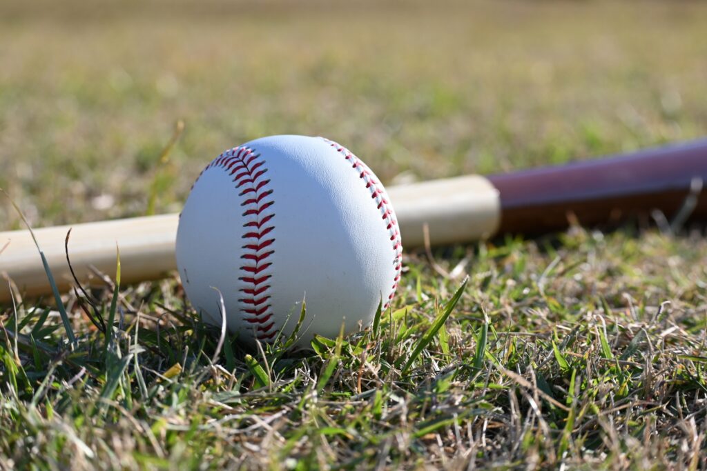 芝生の上に置かれた野球ボールと木製バットが並んでいる様子。