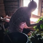 木造サウナ室で利用者に対して白樺の枝葉を使ったウィスキングを行っている施術風景。