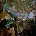 夜間の屋外テラスに植栽越しで見える都市夜景と外気浴エリアの様子