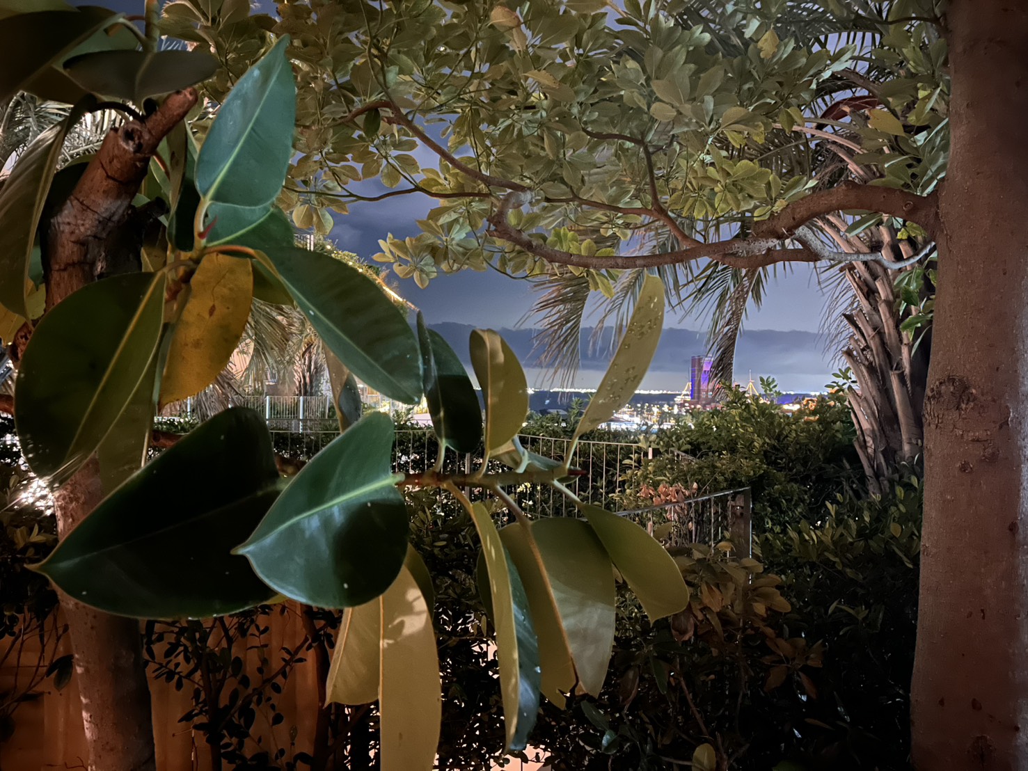 夜間の屋外テラスに植栽越しで見える都市夜景と外気浴エリアの様子