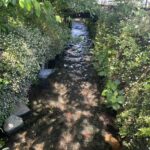 草花と緑に囲まれた小川が流れ、奥に小さな橋が見える水路の風景。