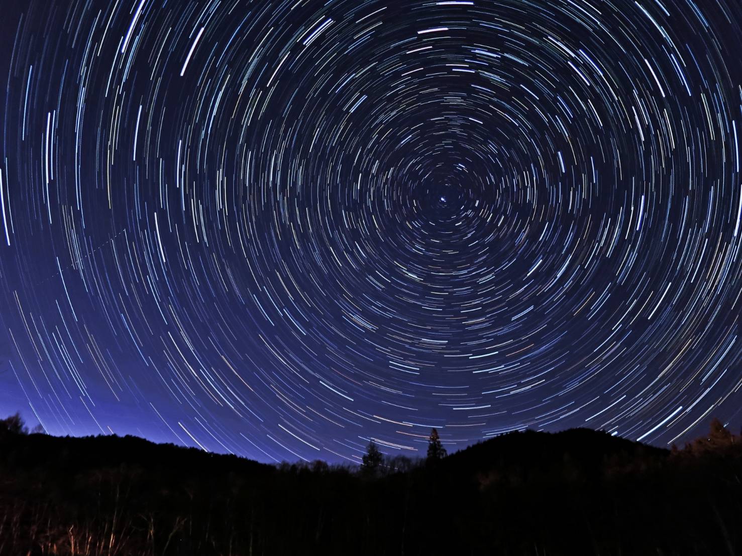 森林のシルエットの上で星の軌跡が円を描く夜空の風景