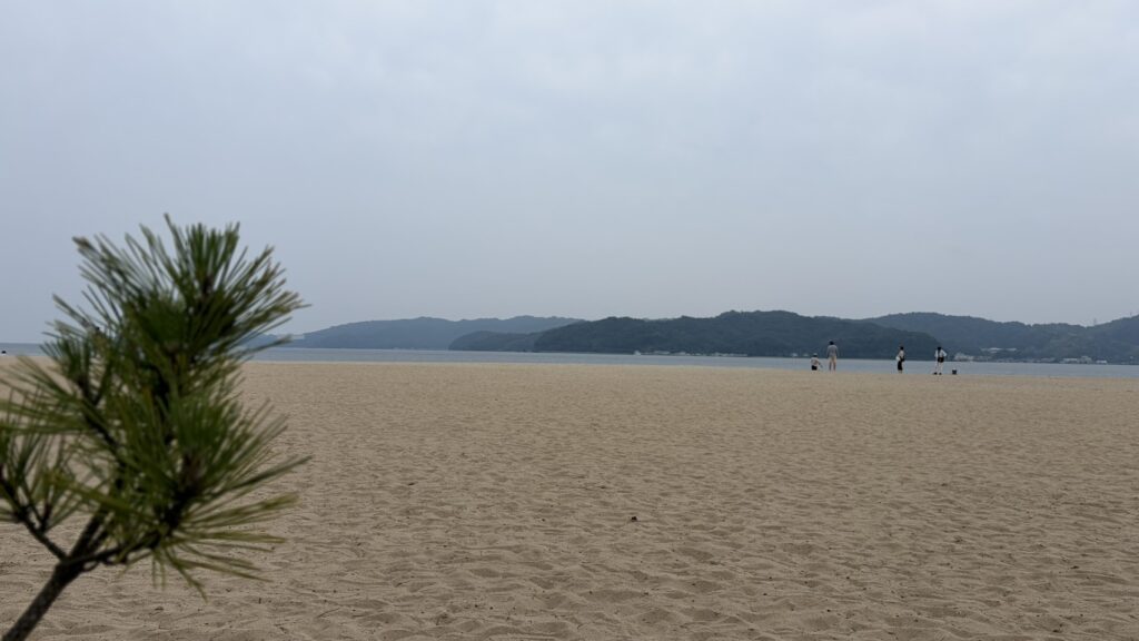松の葉を手前に配置し、砂浜と海、遠くの山々を背景に数人の人物が歩いている京丹後の風景です。