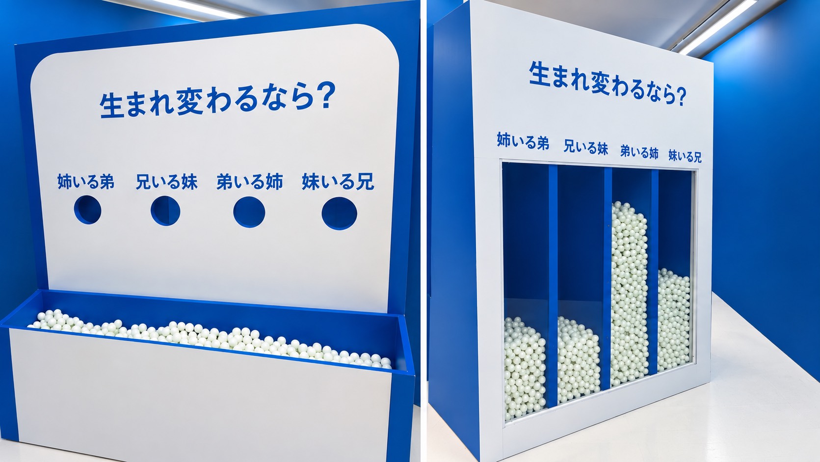 白いボールを投入して回答し裏側で投票結果が可視化される企画展の展示パネルです。