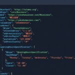 エディタ画面に表示されたローカルビジネスのJSONLD構造化データのコード
