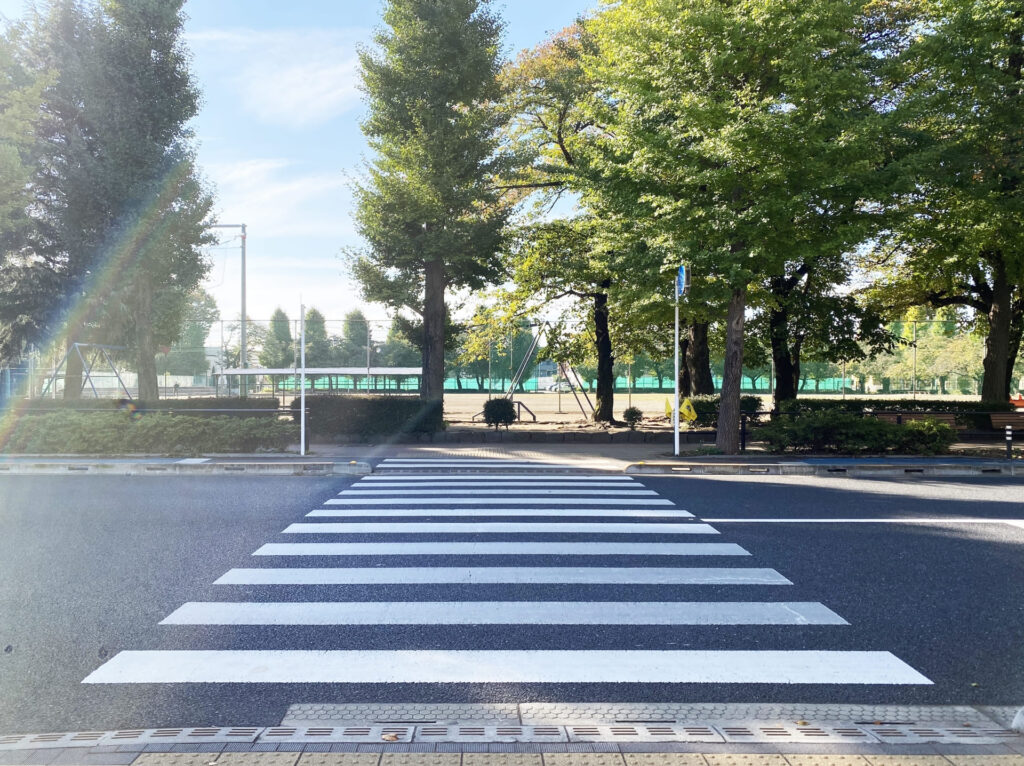 街路樹が並ぶ公園前の道路に白い横断歩道が引かれている、スタッフへの伝え方を考える記事の写真です