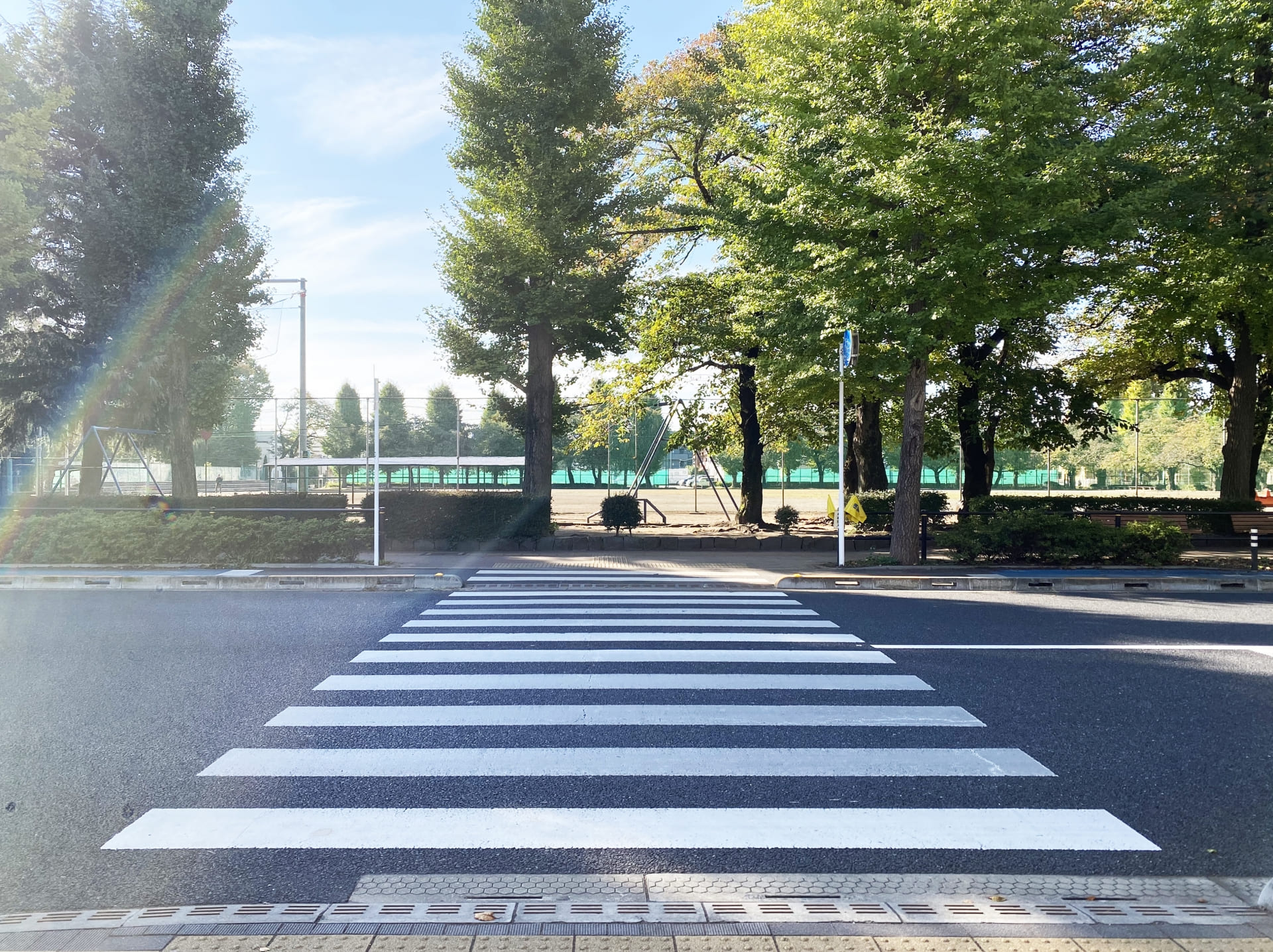 街路樹が並ぶ公園前の道路に白い横断歩道が引かれている、スタッフへの伝え方を考える記事の写真です
